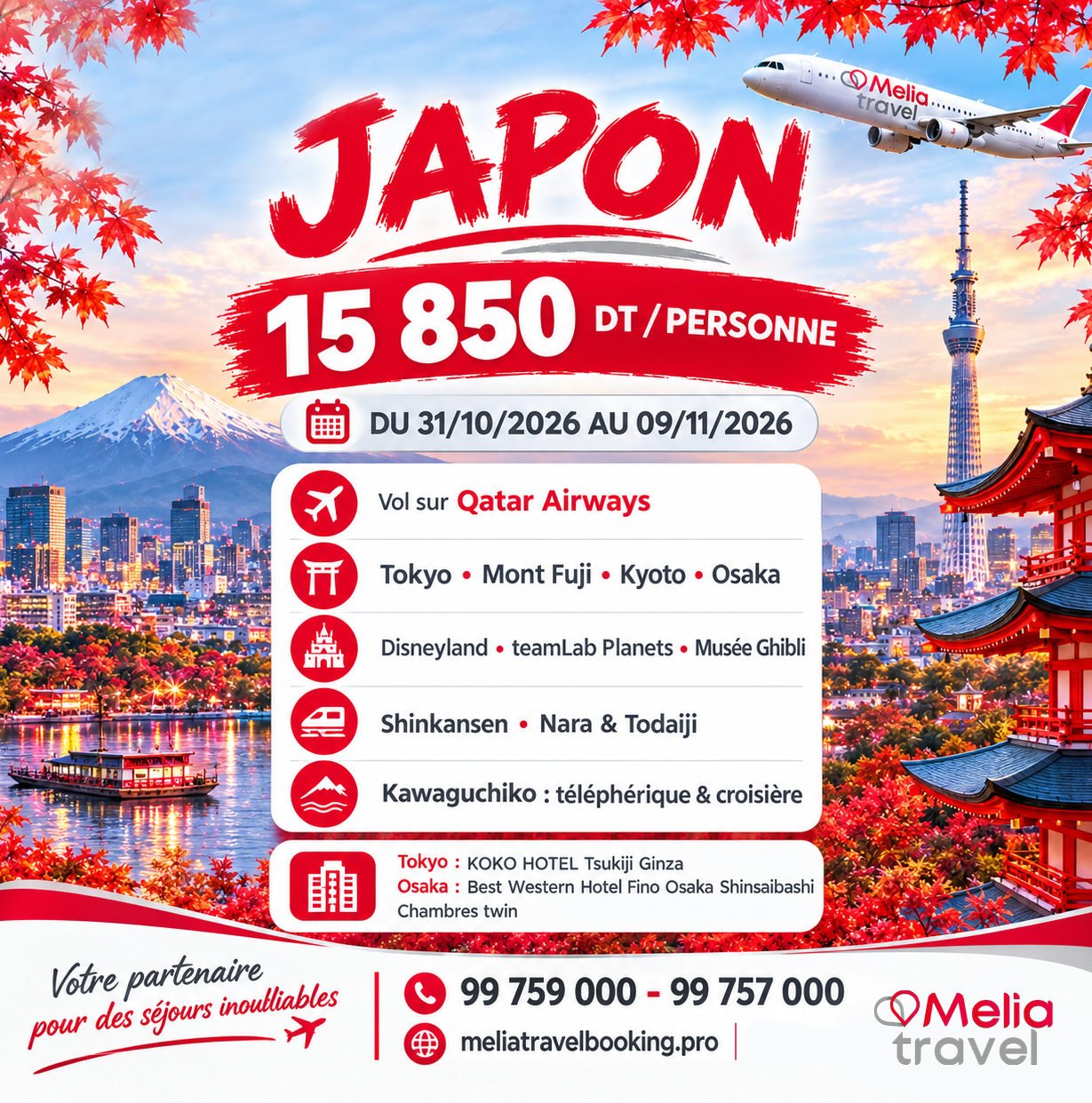 Voyage Oraganisé JAPON
